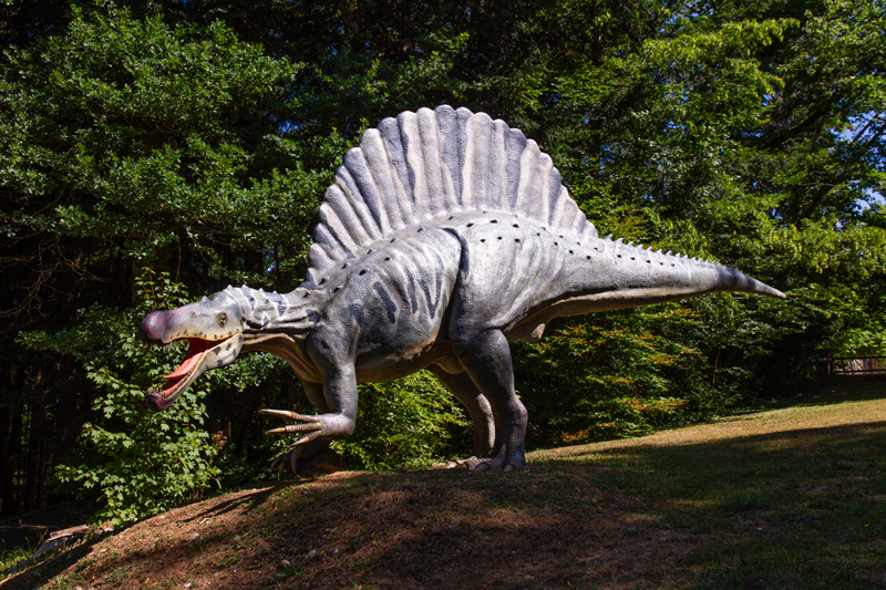 Visite - Dino-Zoo