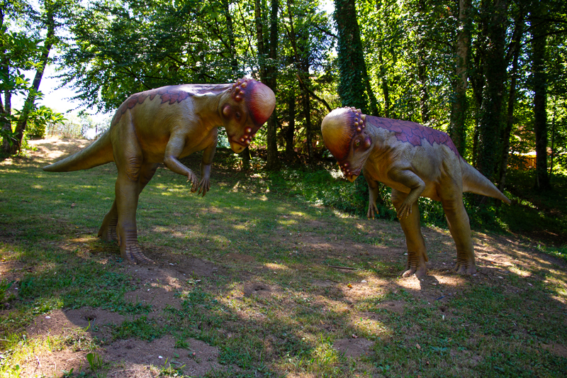 Visite - Dino-Zoo