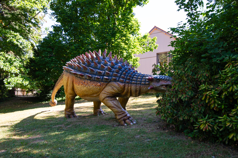 Visite - Dino-Zoo
