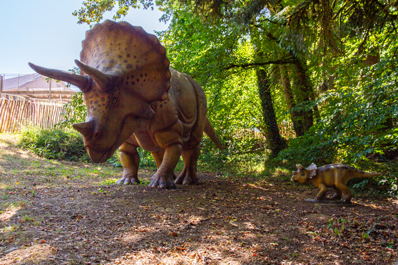 Visite - Dino-Zoo