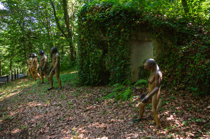 Visite - Dino-Zoo