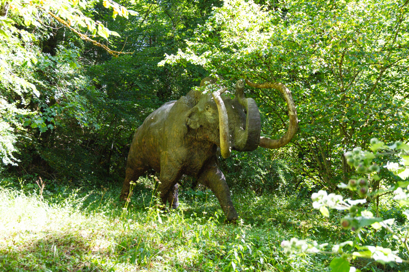Visite - Dino-Zoo