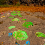 Visite - Site à pistes de dinosaures à Loulle