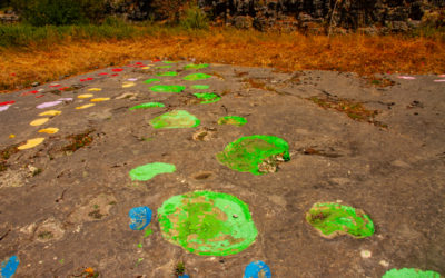 Site à pistes de dinosaures à Loulle