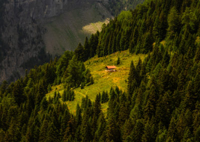 Galerie d’images – Bisse du Rho