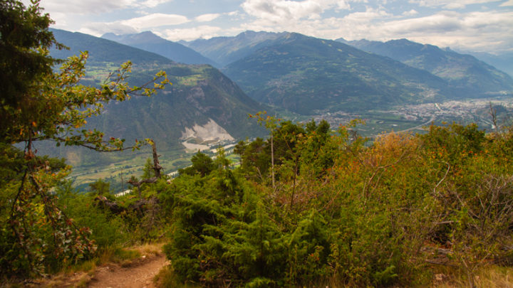 Le Christ Roi