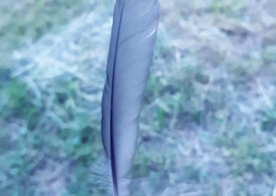 Plumes en vrac