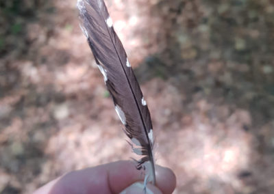 Plumes en vrac