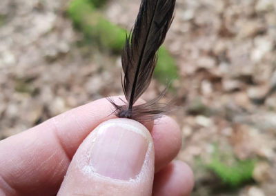Plumes en vrac