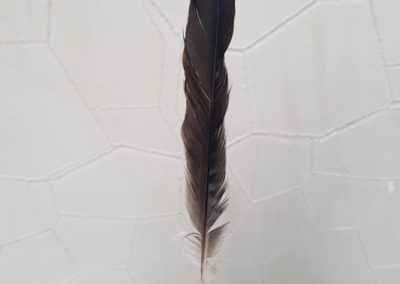 Plumes en vrac