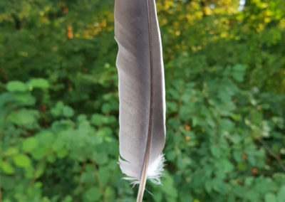 Plumes en vrac