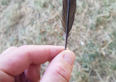 Plumes en vrac