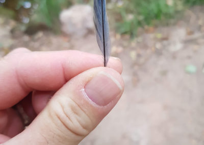 Plumes en vrac