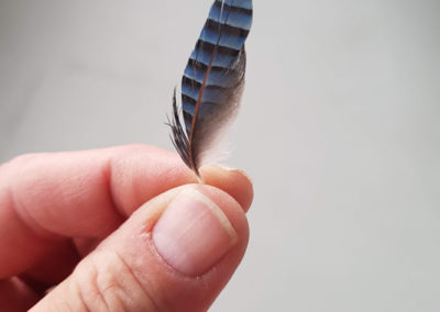 Plumes en vrac