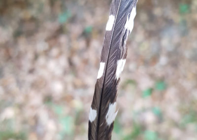 Plumes en vrac