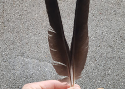 Plumes en vrac