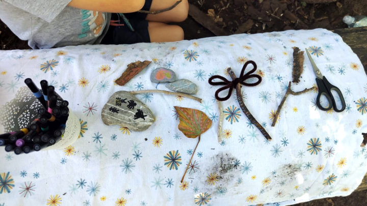 Sortie nature, les insectes