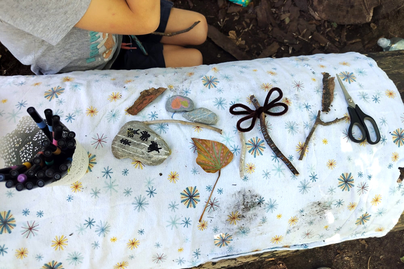 Sortie nature, les insectes
