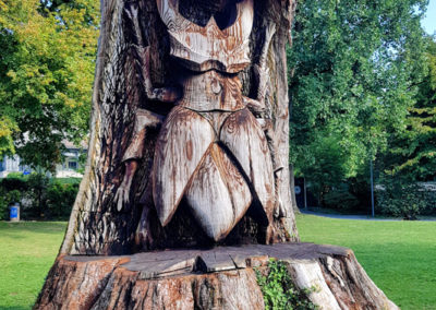 Lucane cerf-volant - Trophée, La Tour-de-Peilz, Vaud, Suisse