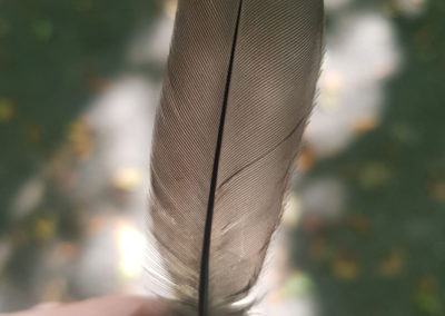 Plumes en vrac
