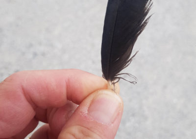 Plumes en vrac