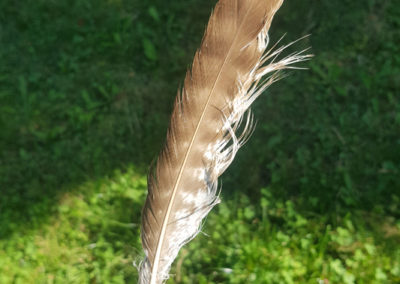 Plumes en vrac