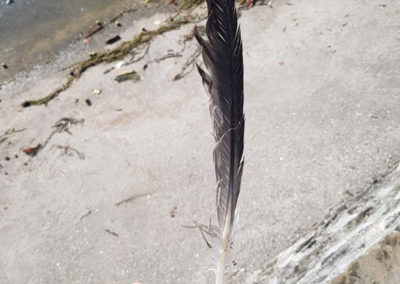 Plumes en vrac