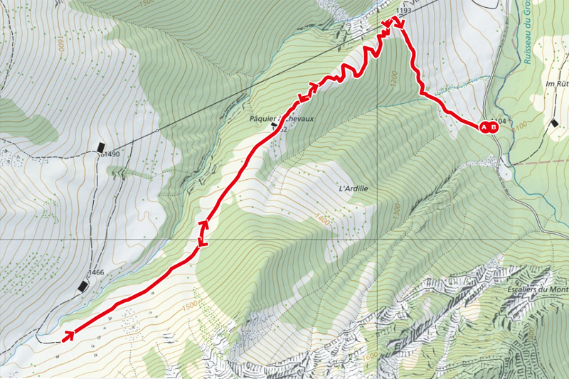 Randonnée - Brâme du cerf 2026 - Carte Randonnée - Brâme du cerf 2026 - Carte