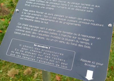 Randonnée - SONature - Chemin didactique