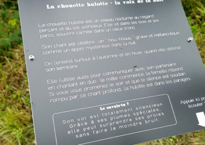 Randonnée - SONature - Chemin didactique