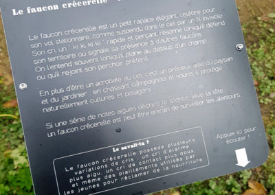 Randonnée - SONature - Chemin didactique