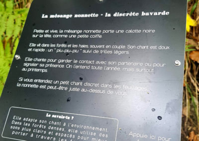 Randonnée - SONature - Chemin didactique