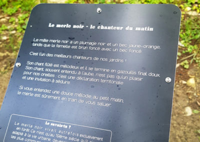 Randonnée - SONature - Chemin didactique