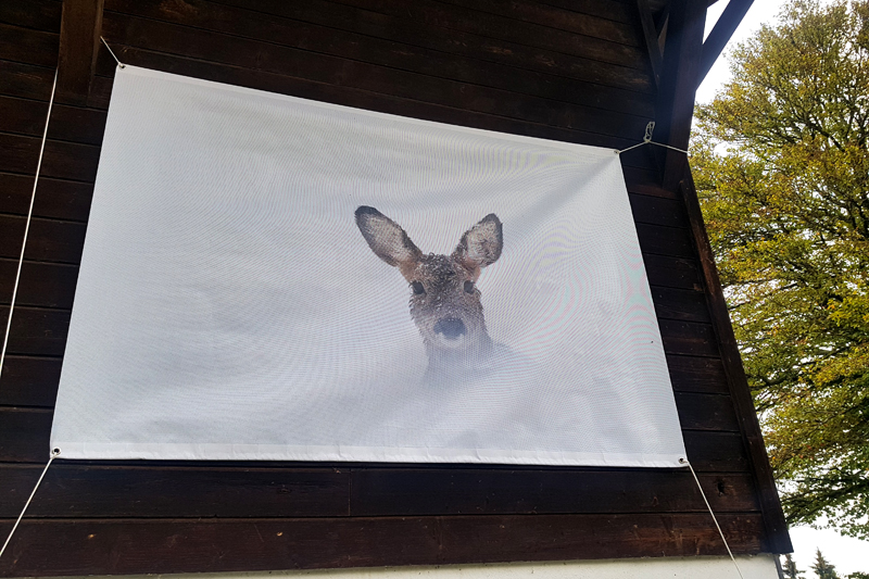 SONature